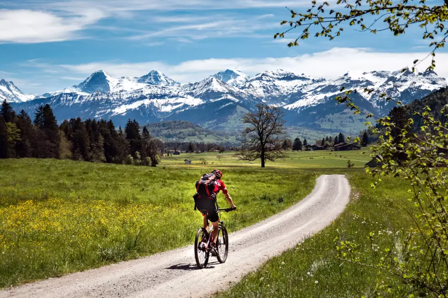 Mann fÃ¤hrt Fahrrad auf einer Radreise vor dem Hintergrnd der Berner Alpen