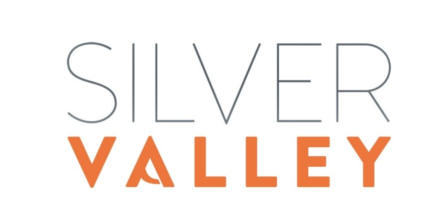 Qu'est-ce que la Silver Valley ?